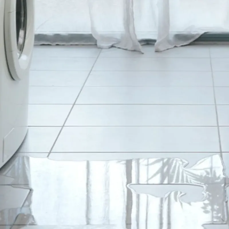 Appliance Leak Cleanup in Pineville, LA
