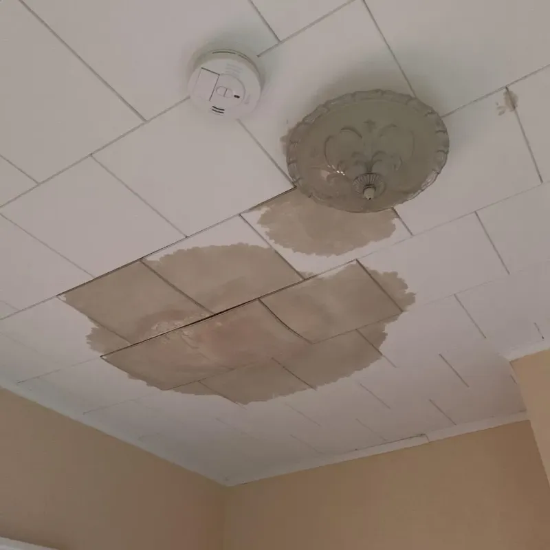 Ceiling Water Damage Repair in Pineville, LA
